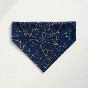 Grynora Celestial Midnight Dog Bandana