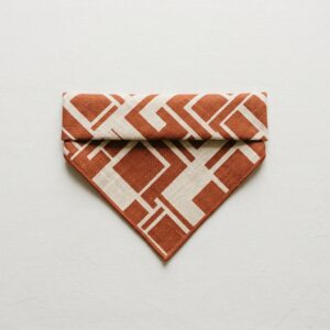 Grynora Terracotta Arch Dog Bandana